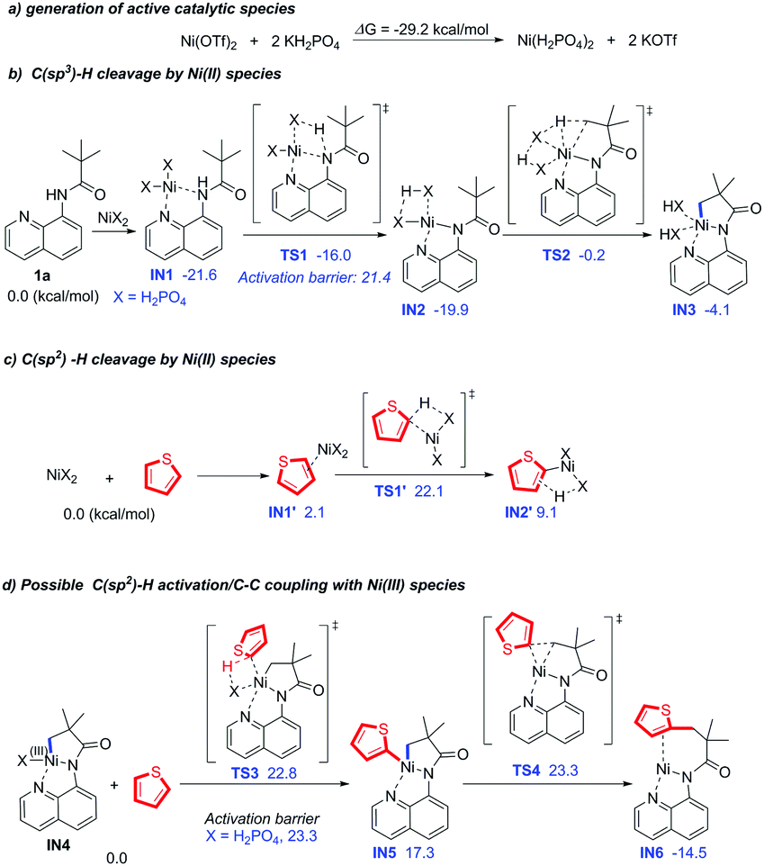 Nickel Catalysed Direct Alkylation Of Thiophenes Via Double C Sp 3 H C Sp 2 H Bond Cleavage The Importance Of Kh 2 Po 4 Chemical Communications Rsc Publishing Doi 10 1039 C7cc04252c