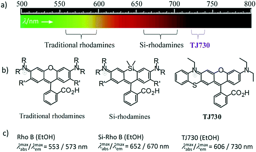 Rhodamine Dye Tracing - NexSens