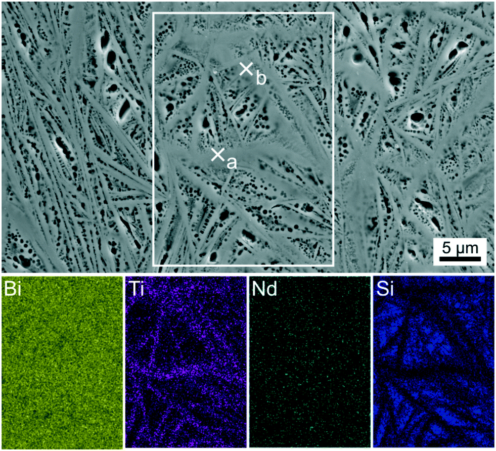 Phase formation, crystal orientations and epitaxy in Bi 2 O 3 /TiO