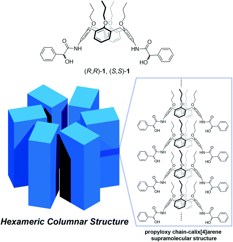 Hexameric Assembly Of 5 17 Di Substituted Calix 4 Arene In The Solid State Crystengcomm Rsc Publishing Doi 10 1039 C7cea