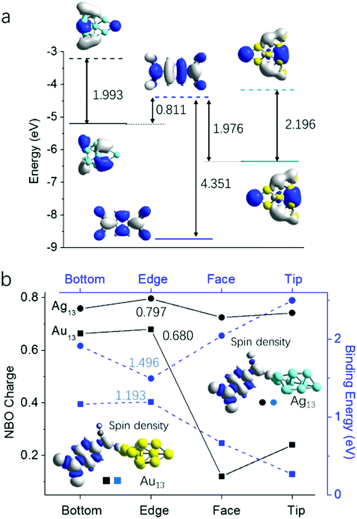 How active sites facilitate charge-transfer interactions of silver 