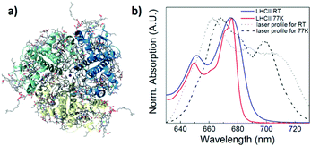image file: c7cp03038j-f1.tif