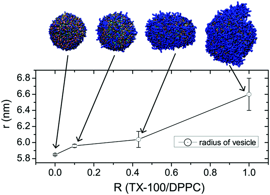 Biomembrane Solubilization Mechanism By Triton X 100 A Computational Study Of The Three Stage Model Physical Chemistry Chemical Physics Rsc Publishing Doi 10 1039 C7cpb