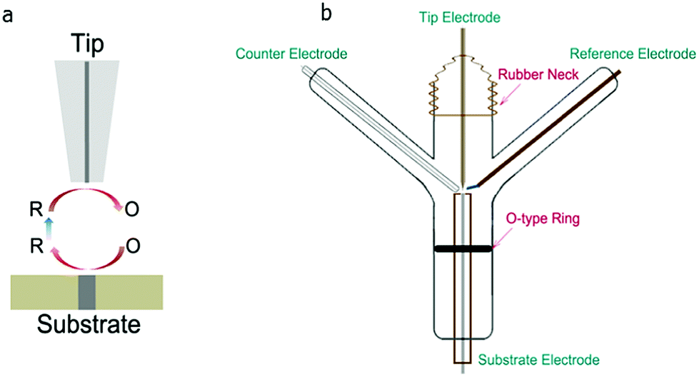 van der Waals Heterostructures with High Accuracy Rotational