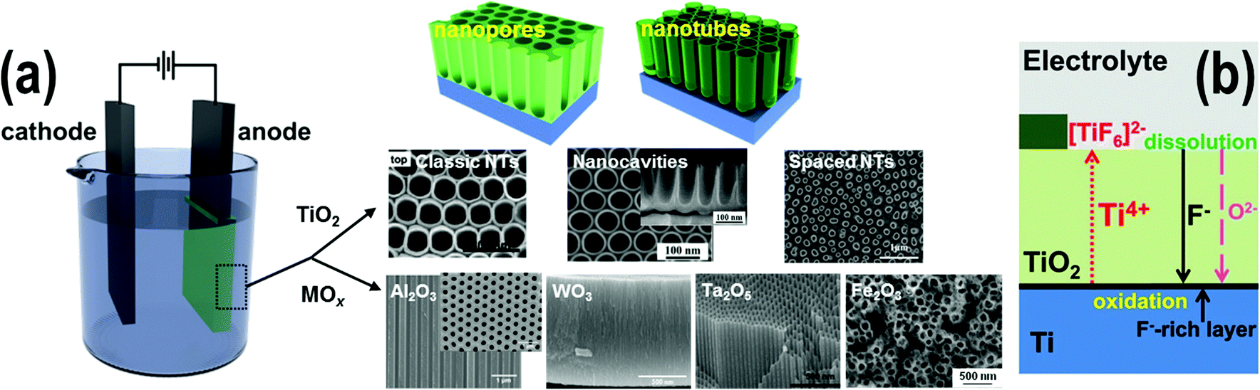 Photoanodes based on TiO 2 and α-Fe 2 O 3 for solar water 