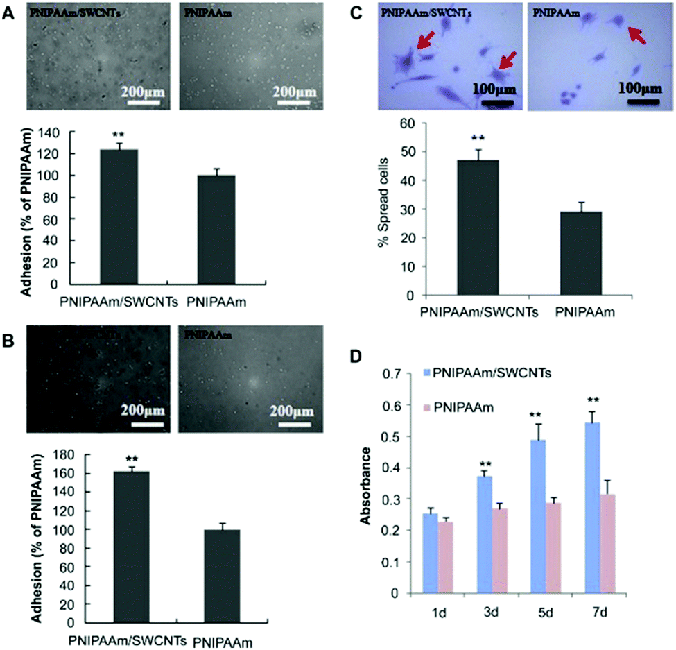 ミズノプロ Polyoxometalate-based materials for advanced electrochemical