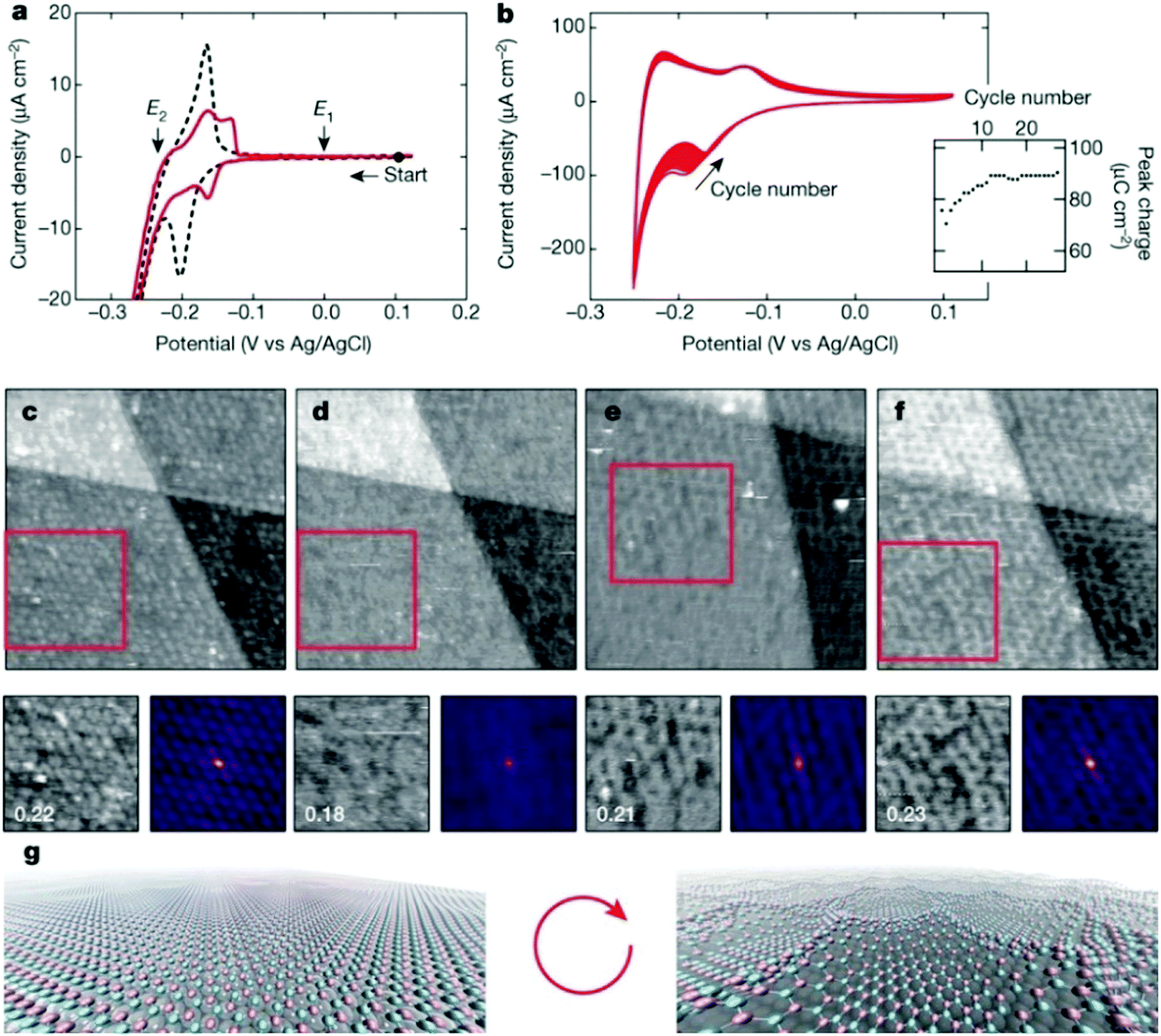Surface chemistry and catalysis confined under two