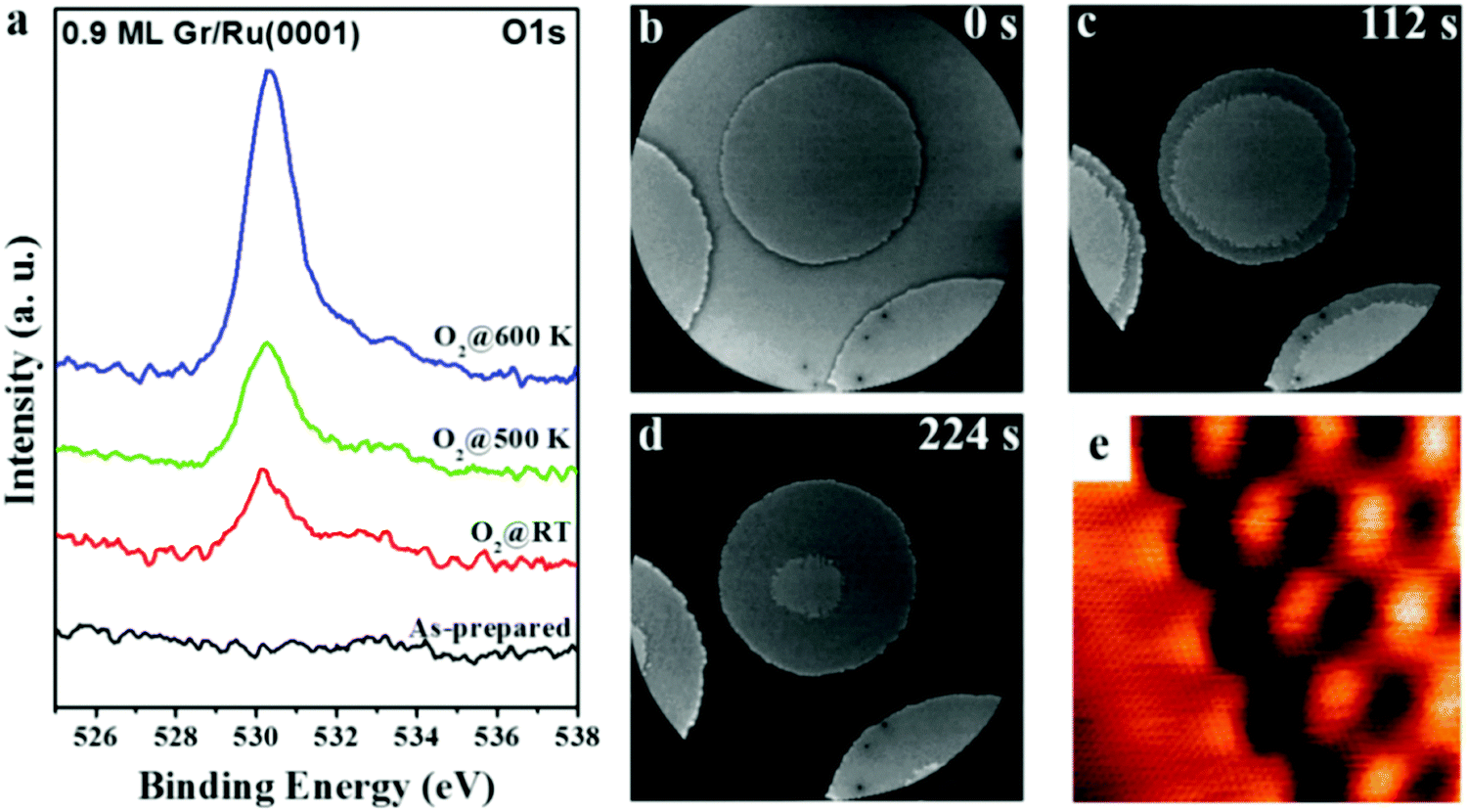 Generation of out-of-plane polarized spin current by non