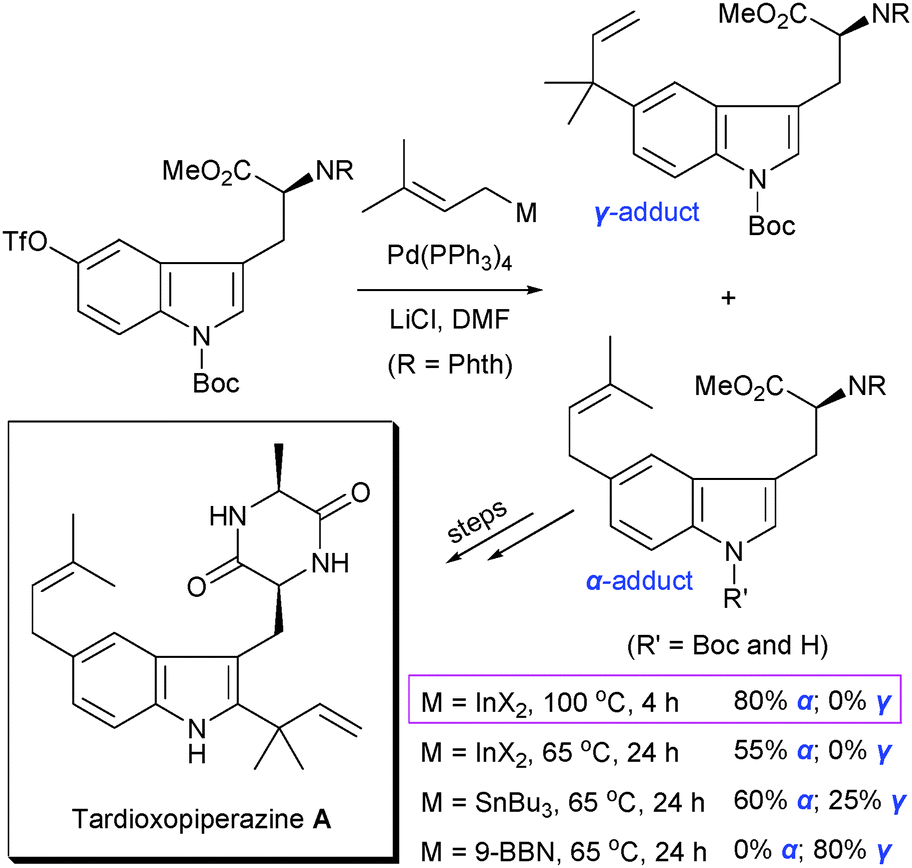 Transition Metal Catalyzed Cross Coupling Reactions Using