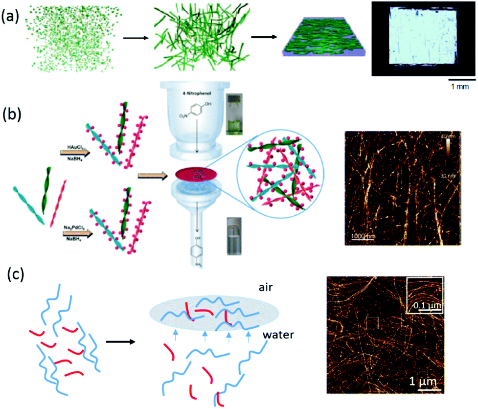 Self-assembling peptide and protein amyloids: from structure Self-assembling peptide and protein amyloids: from structure