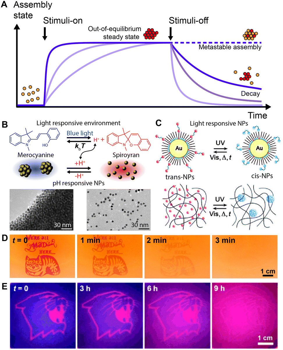 Materials learning from life: concepts for active, adaptive and autonomous  molecular systems - Chemical Society Reviews (RSC Publishing)  DOI:10.1039/C6CS00738D