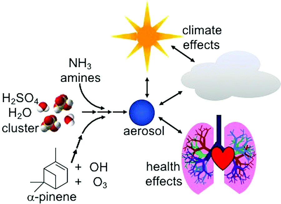 Phase separation in organic aerosol Chemical Society Reviews