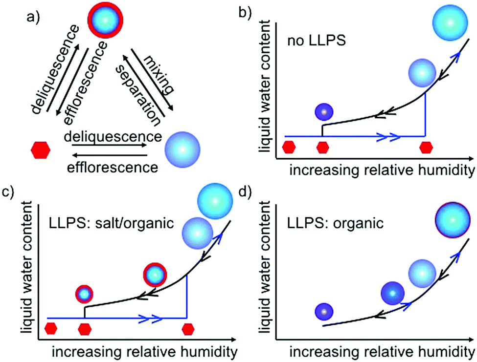 Phase separation in organic aerosol Chemical Society Reviews