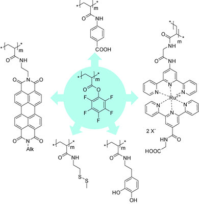 Synthetic approaches towards structurally-defined
