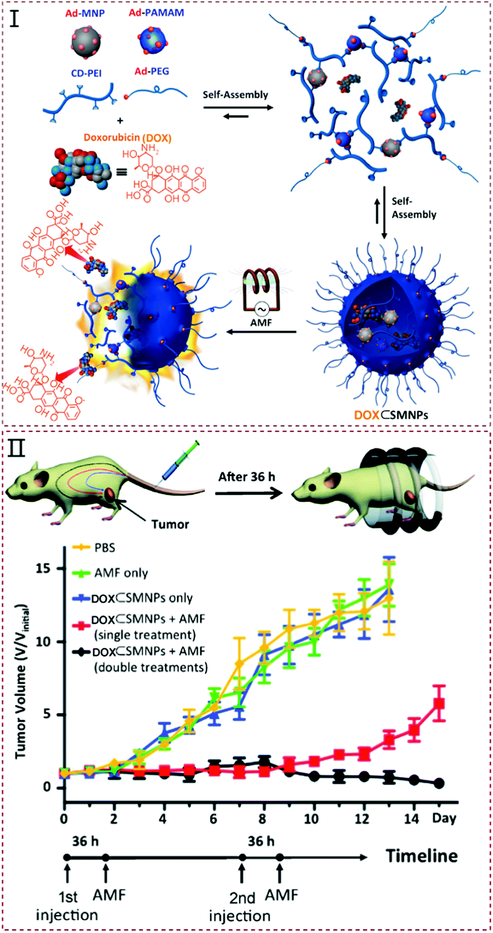 Supramolecular chemotherapy based on host–guest molecular