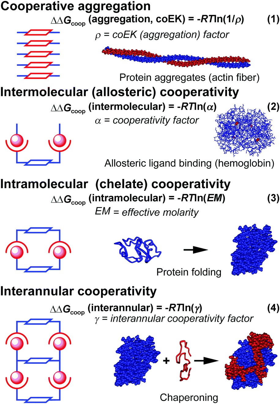 Assessing Cooperativity In Supramolecular Systems - Chemical Society  Reviews (Rsc Publishing) Doi:10.1039/C7Cs00063D Assessing Cooperativity In Supramolecular Systems - Chemical Society  Reviews (Rsc Publishing) Doi:10.1039/C7Cs00063D
