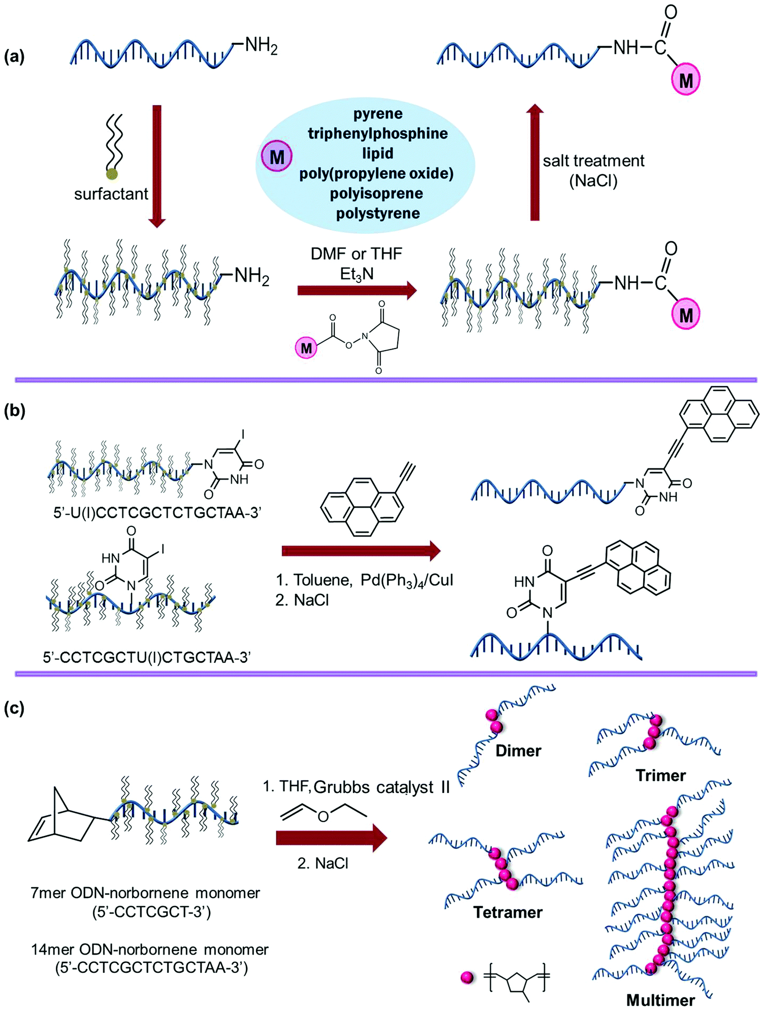 MVLs. (A and B) The structure (A) and molecular modeling (B) of