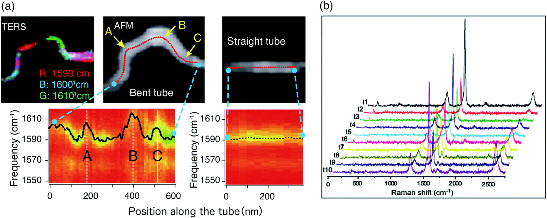 Tip-enhanced Raman spectroscopy – from early developments to