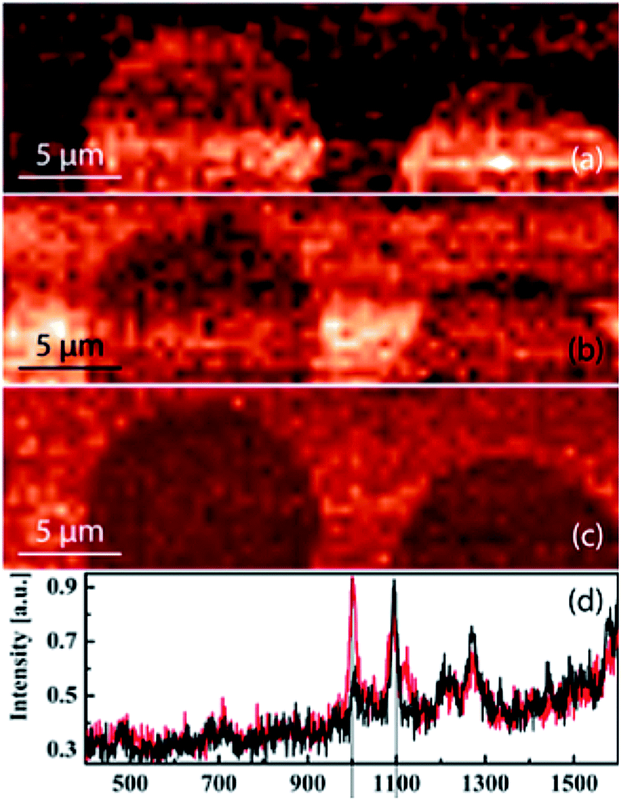 Tip-enhanced Raman spectroscopy – from early developments to recent advances - Chemical Society Reviews (RSC Publishing) DOI:10.1039/C7CS00209B Tip-enhanced Raman spectroscopy – from early developments to recent advances - Chemical Society Reviews (RSC Publishing) DOI:10.1039/C7CS00209B