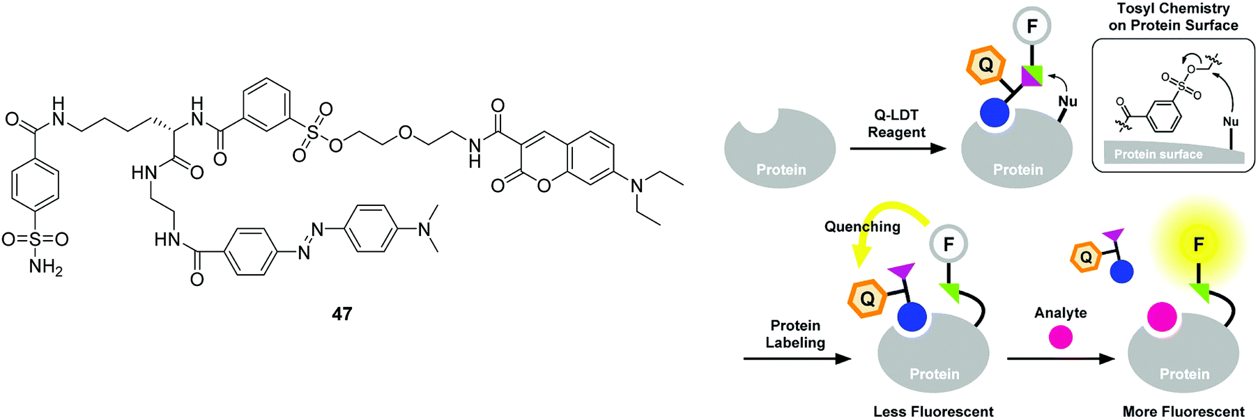 Chemosensors, Free Full-Text