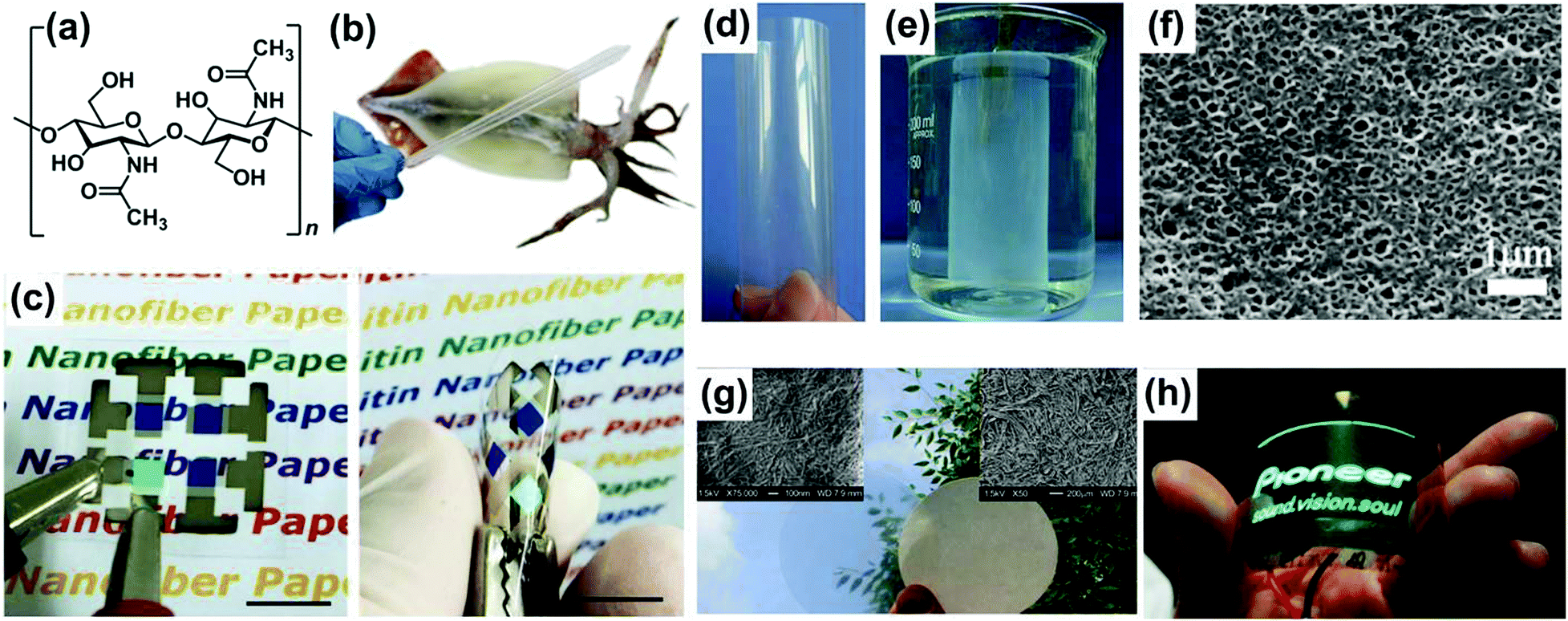 New insights and perspectives into biological materials for New insights and perspectives into biological materials for
