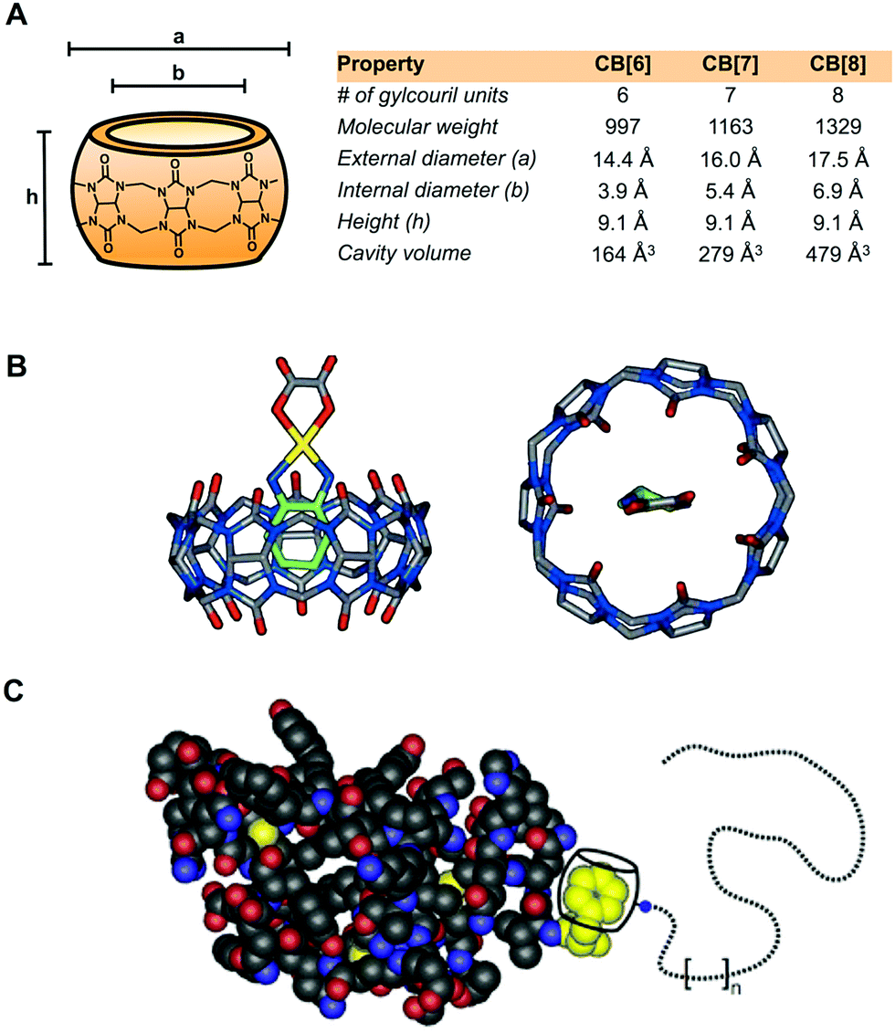 The Multiple Roles of CD147 in the Development and