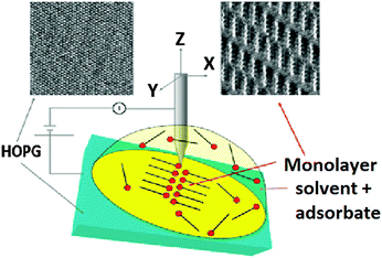 ビータ Chirality of molecular nanostructures on surfaces via