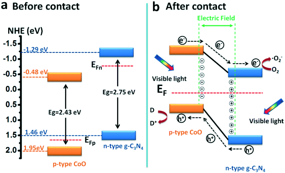 Facile Fabrication Of A Coo G C 3 N 4 P N Heterojunction With Enhanced Photocatalytic Activity And Stability For Tetracycline Degradation Under Visibl Catalysis Science Technology Rsc Publishing Doi 10 1039 C7cyg