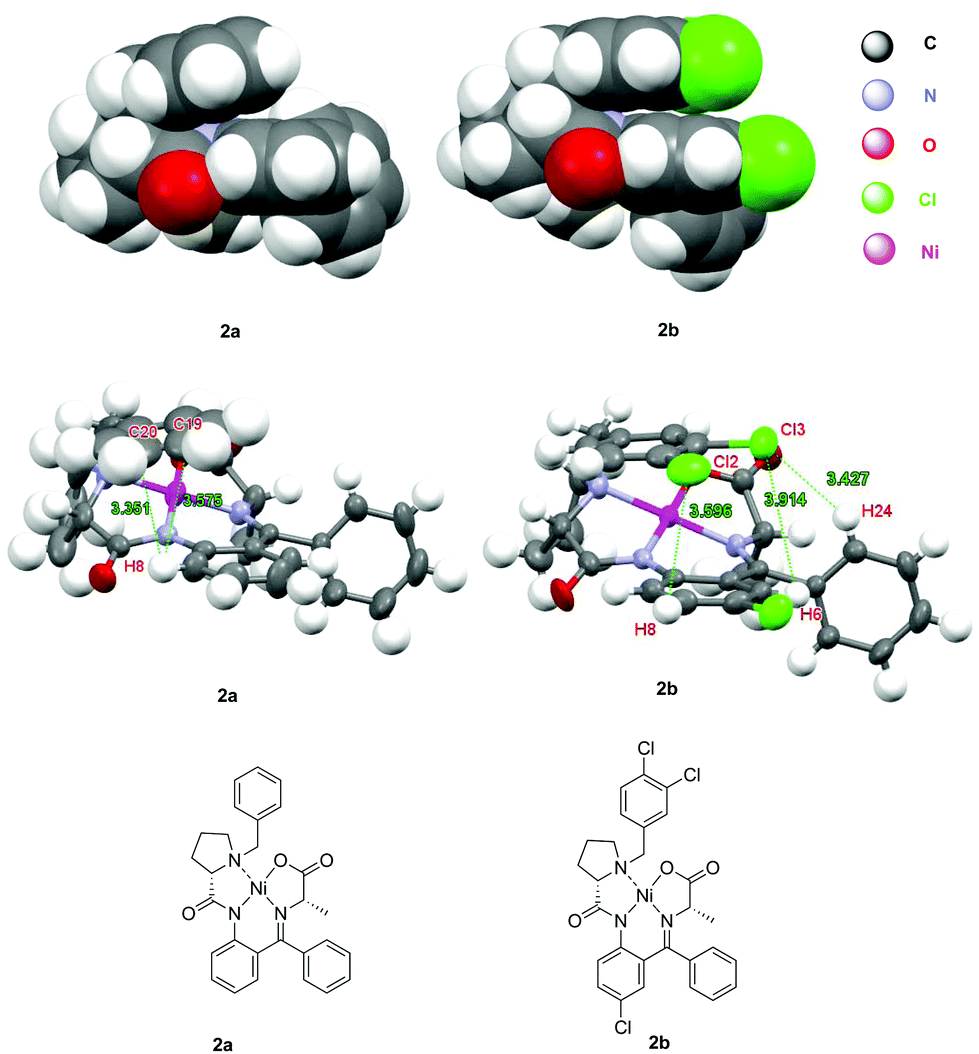 Analysis of crystallographic structures of Ni( ii ) complexes of α 
