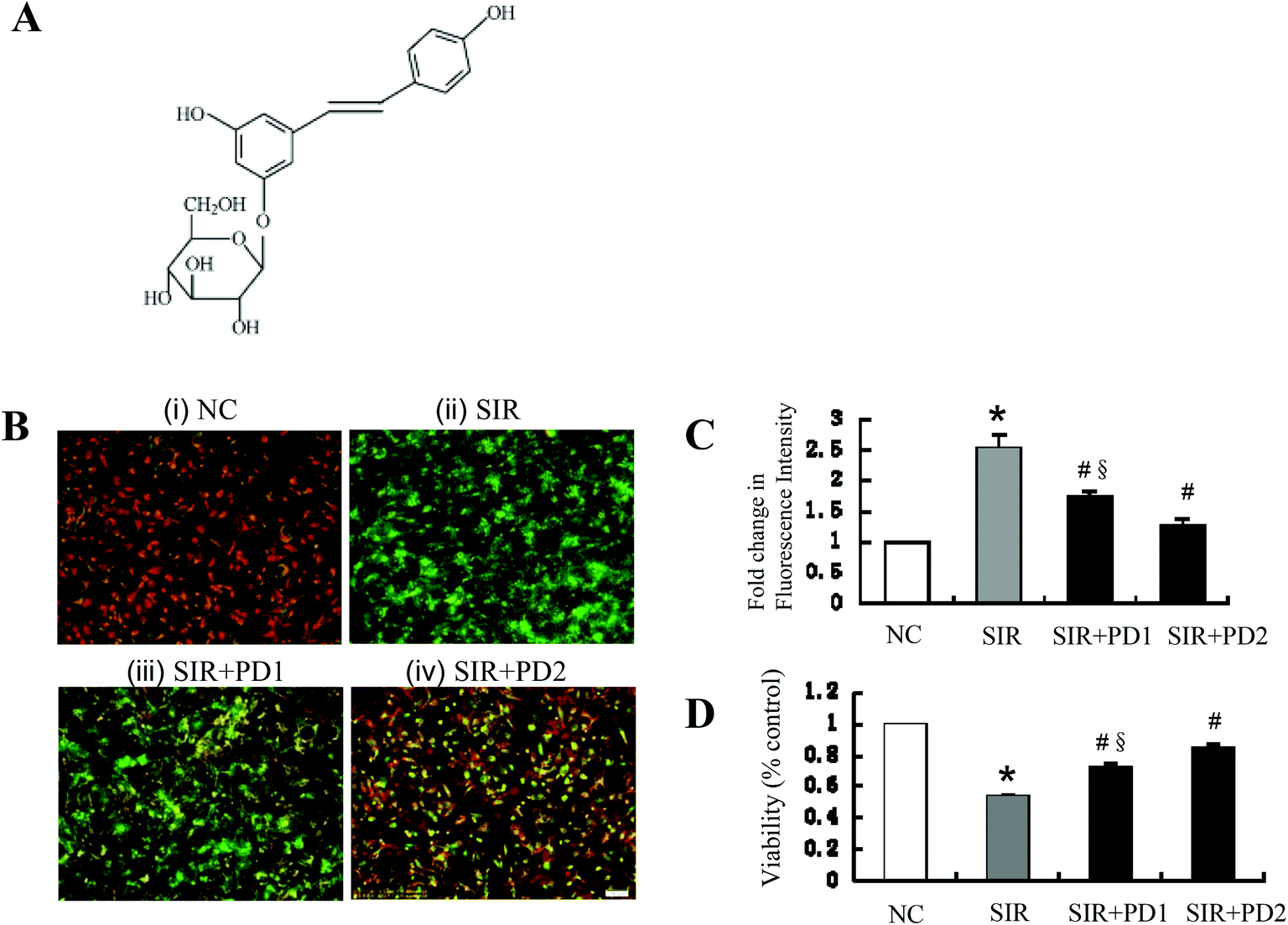 Trans Polydatin Protects The Mouse Heart Against Ischemia - 