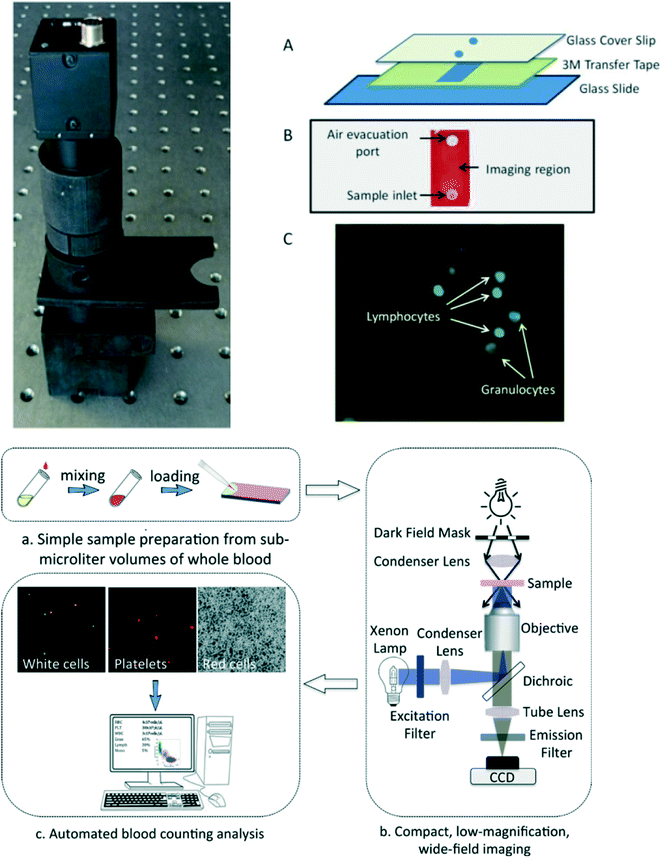 https://pubs.rsc.org/image/article/2017/LC/c7lc00374a/c7lc00374a-f5.gif