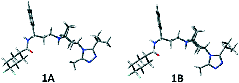 Diazabicyclo analogues of maraviroc: synthesis, modeling, NMR studies and  antiviral activity - MedChemComm (RSC Publishing) DOI:10.1039/C6MD00575F