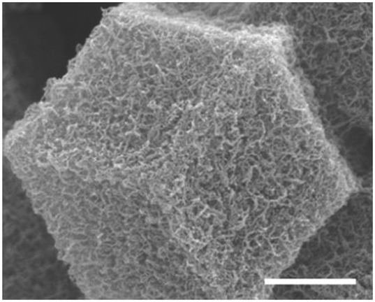 Advancements in rationally designed PGM-free fuel cell catalysts 