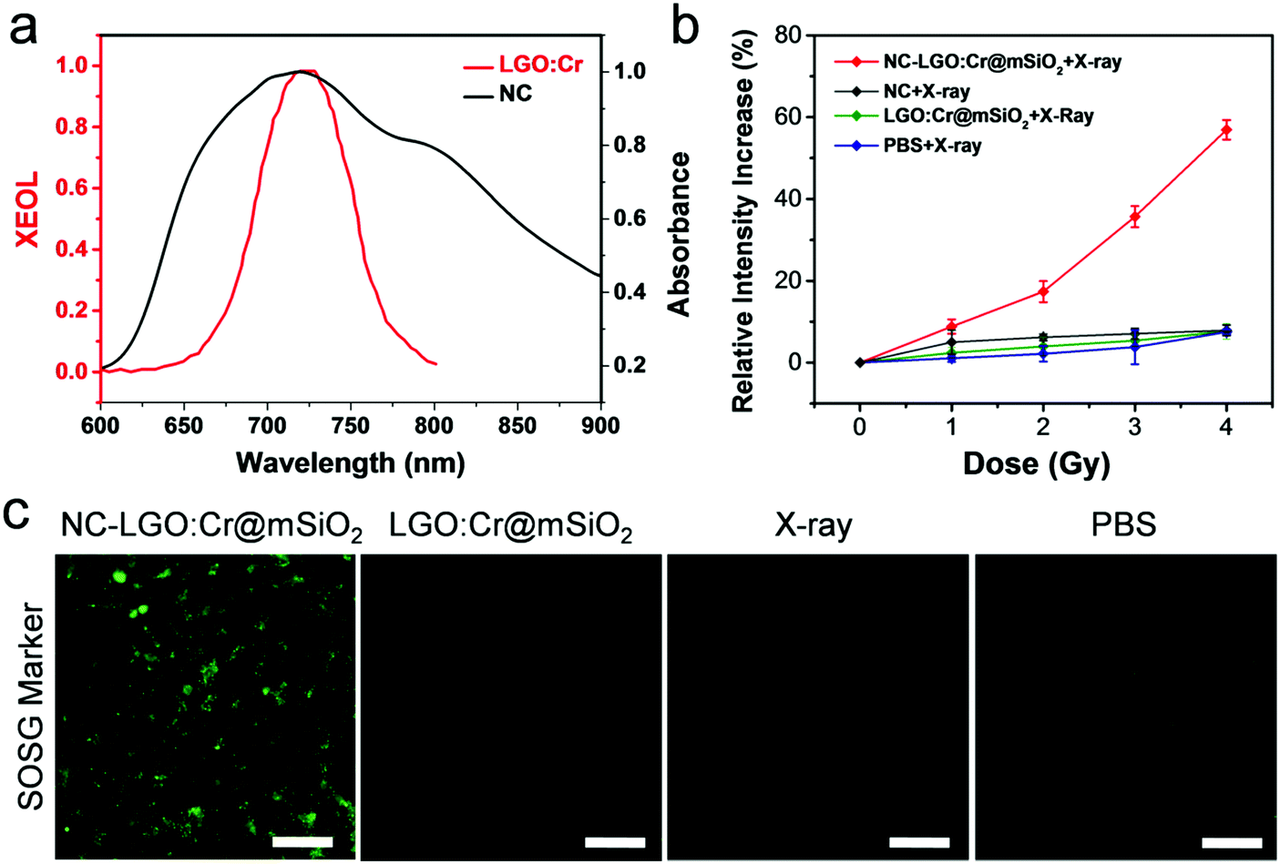 Liga 5 O 8 Cr Based Theranostic Nanoparticles For Imaging Guided X Ray Induced Photodynamic Therapy Of Deep Seated Tumors Materials Horizons Rsc Publishing Doi 10 1039 C7mhg