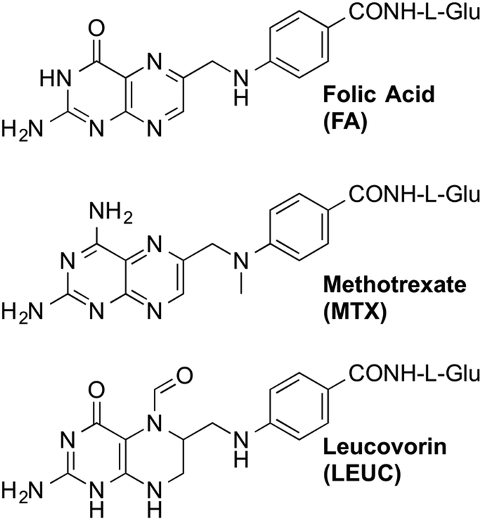 methotrexate and leucovorin mechanism of action