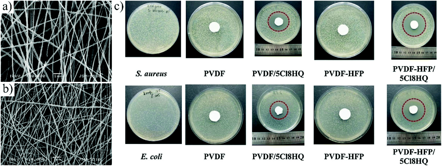 Biomimetic polymeric superhydrophobic surfaces and nanostructures 