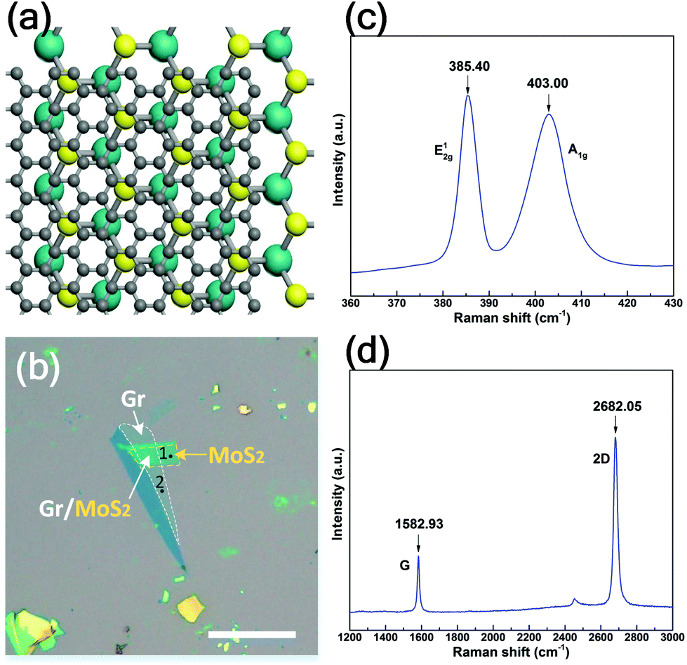 Superlubricity of a graphene/MoS 2 heterostructure: a combined 