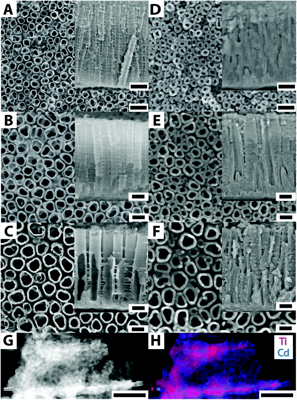 CdS-coated TiO 2 nanotube layers: downscaling tube diameter towards  efficient heterostructured photoelectrochemical conversion - Nanoscale (RSC  Publishing) DOI:10.1039/C7NR02841E