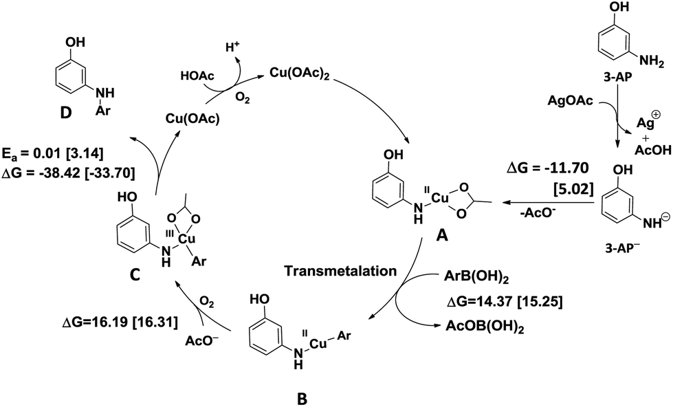 Copper( ii )-catalyzed Chan–Lam cross-coupling: chemoselective N -arylation  of aminophenols - Organic & Biomolecular Chemistry (RSC Publishing)  DOI:10.1039/C6OB02444K
