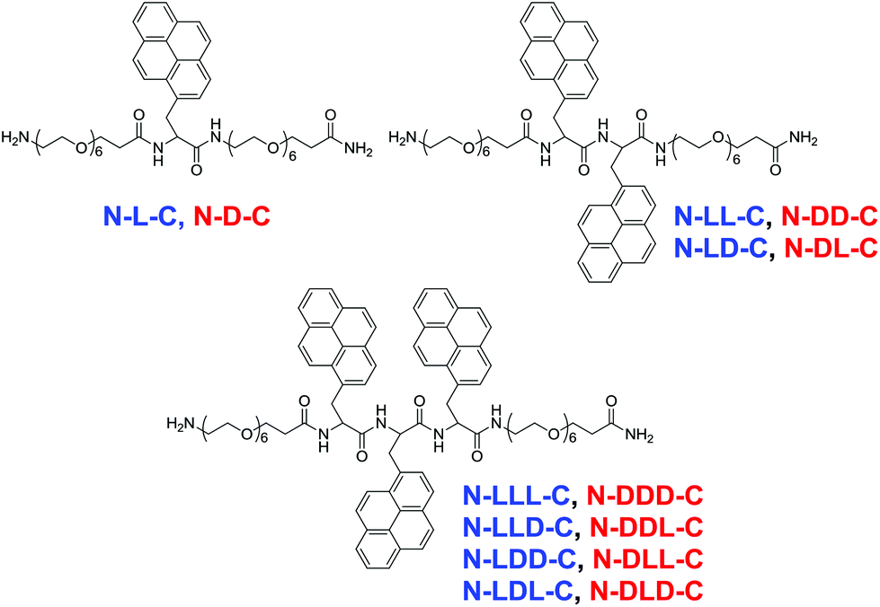 Circularly Polarised Luminescence Of Pyrenyl Di And Tri Peptides With Mixed D And L Amino Acid Residues Organic Biomolecular Chemistry Rsc Publishing Doi 10 1039 C7obb