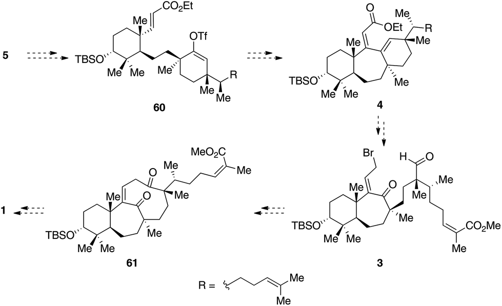 Strategy towards the enantioselective synthesis of schiglautone A 