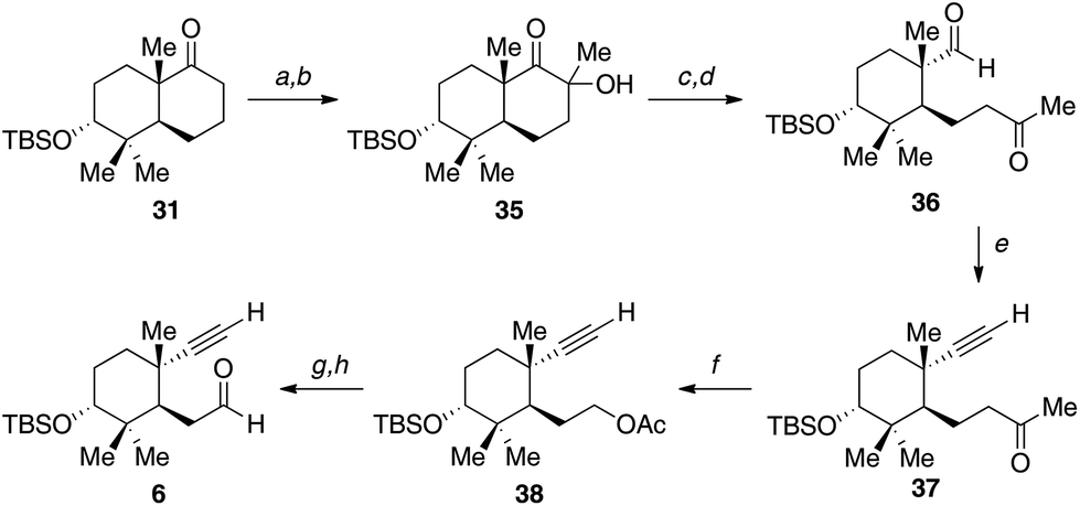 Strategy towards the enantioselective synthesis of schiglautone A 
