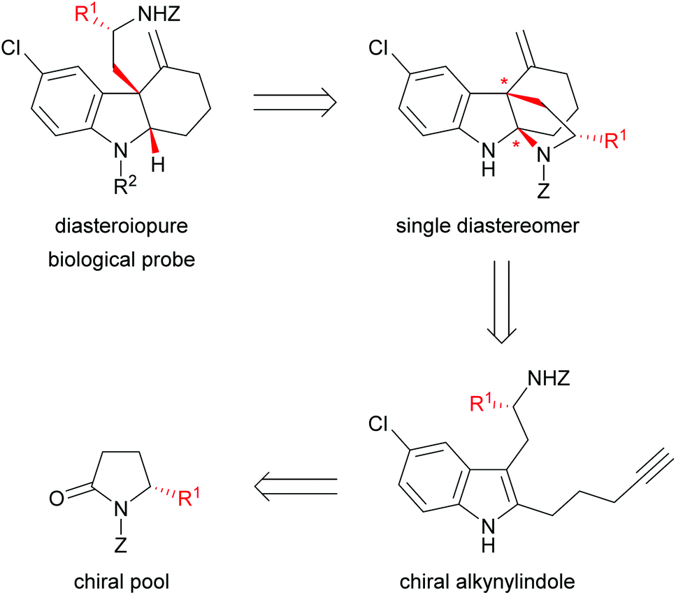 Synthesis and Biological Evaluation of Enantiomerically Pure (R