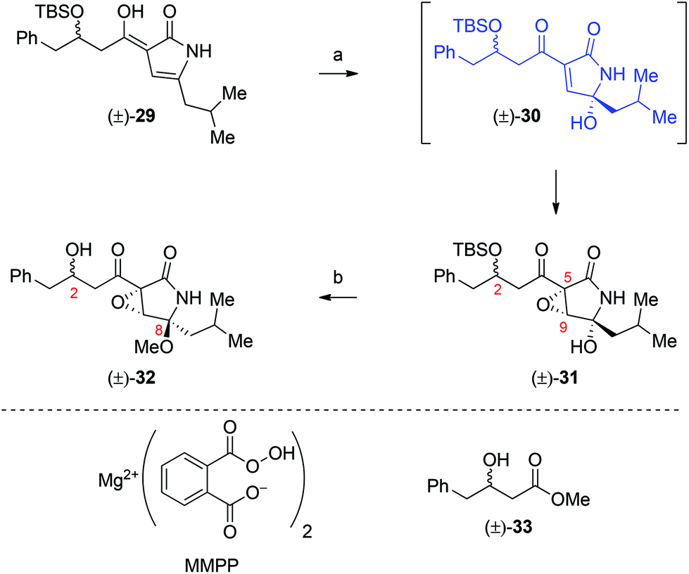 Biomimetic Total Synthesis Of Berkeleyamide D Organic Chemistry Frontiers Rsc Publishing Doi 10 1039 C6qog