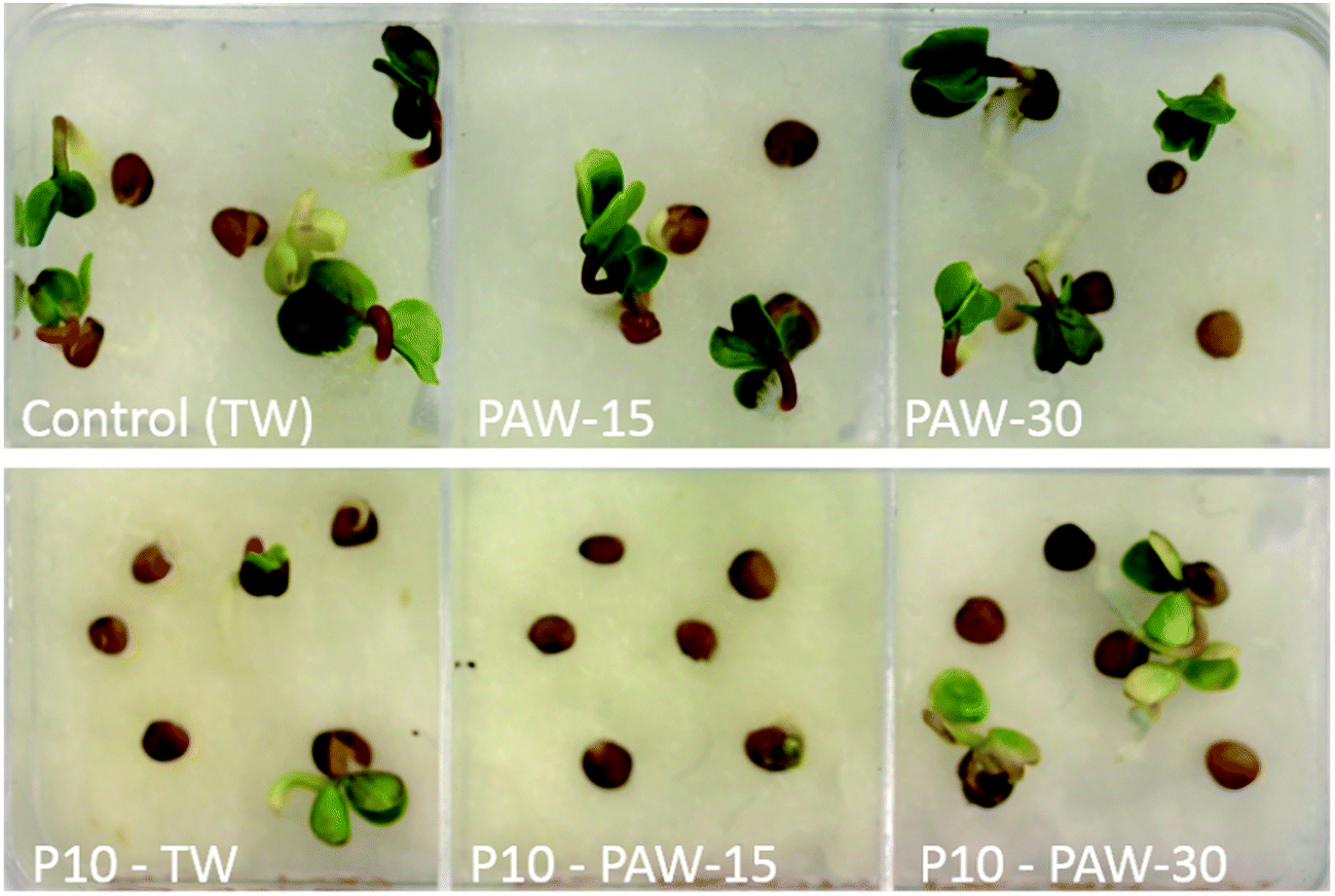 Enhanced seed germination and plant growth by atmospheric pressure cold air  plasma: combined effect of seed and water treatment - RSC Advances (RSC  Publishing) DOI:10.1039/C6RA24762H