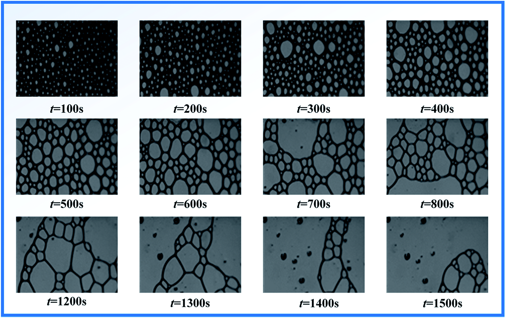 Establishment and application of a structure evolution model for aqueous  foam based on fractal theory - RSC Advances (RSC Publishing)  DOI:10.1039/C6RA24790C