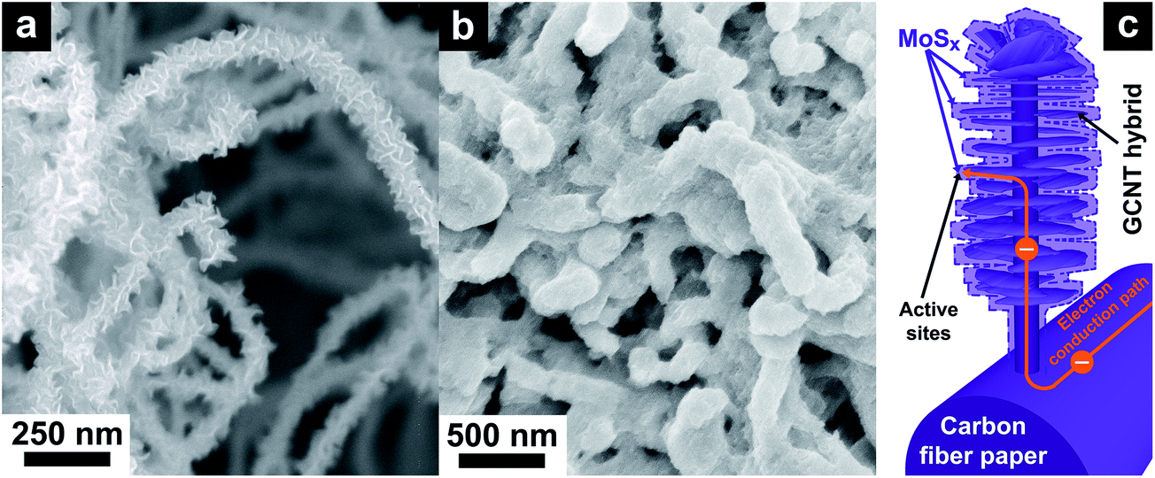 Amorphous Molybdenum Sulfide On Graphene Carbon Nanotube Hybrids As Supercapacitor Electrode Materials Rsc Advances Rsc Publishing Doi 10 1039 C6rae