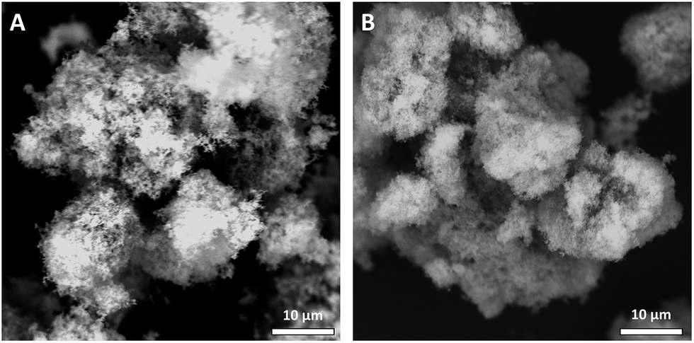 The effect of oil type on network formation by protein aggregates into ...