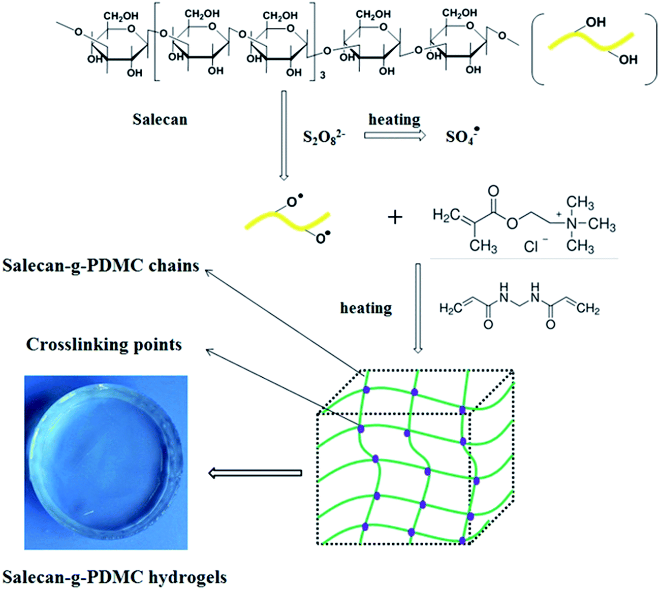 Cationic Salecan Based Hydrogels For Release Of 5 Fluorouracil Rsc Advances Rsc Publishing Doi 10 1039 C7rad