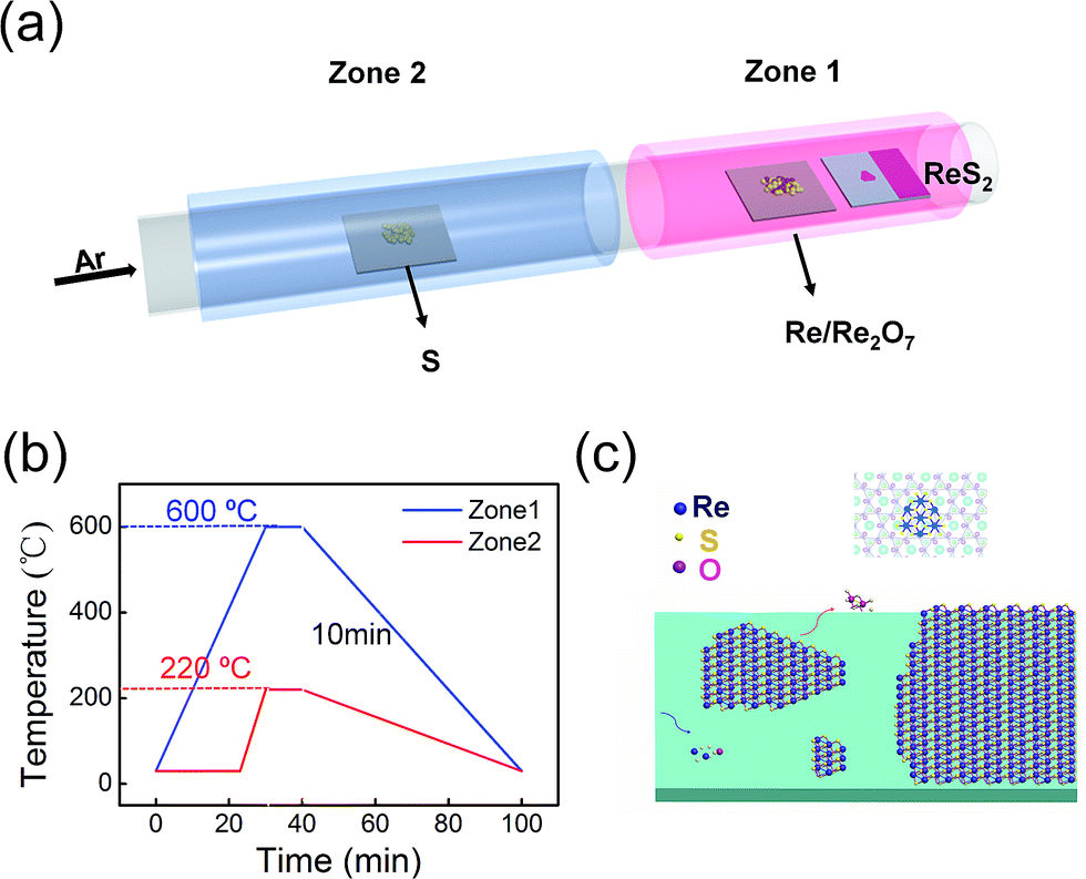 van der Waals epitaxy of large-area continuous ReS 2 films on mica 